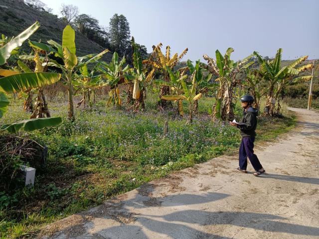 台中東勢農地-0