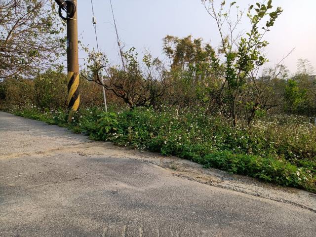 台中東勢農地-0