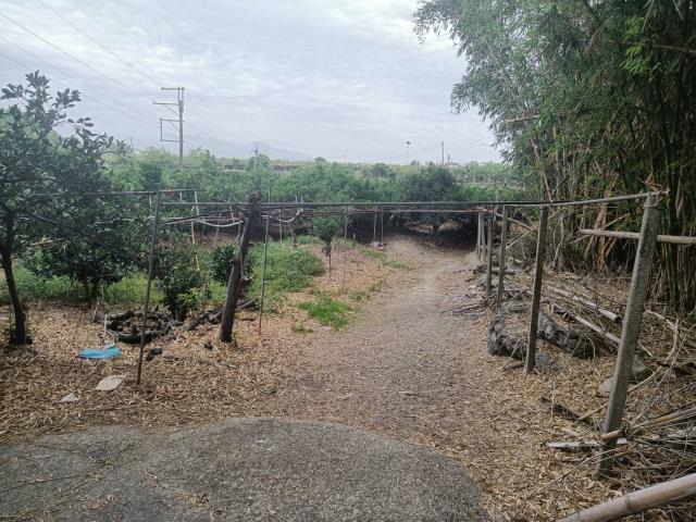 台中東勢農地-1