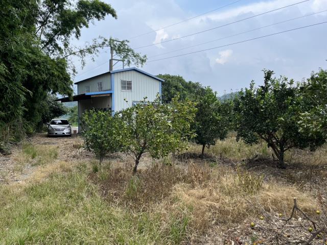 台中東勢農地-4