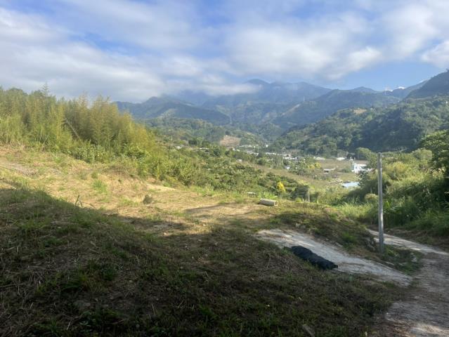 台中山坡地-2
