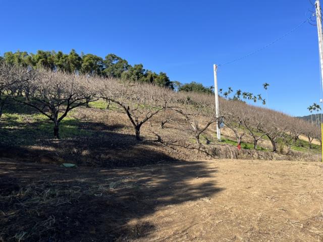 台中新社山坡地-1