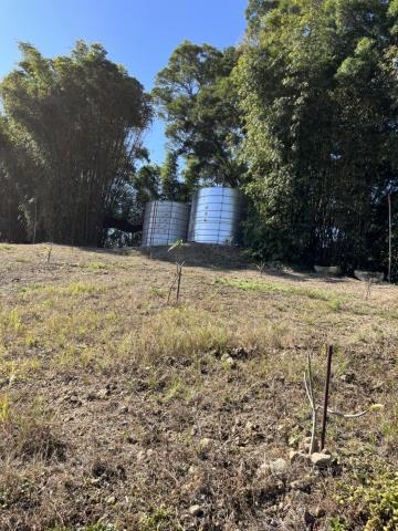 台中新社山坡地-3