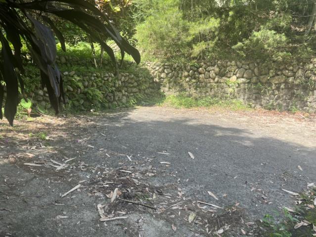 台中東勢山坡地-1