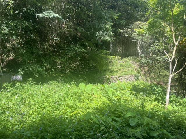 台中東勢山坡地-2