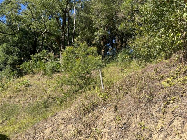 台中東勢山坡地-4