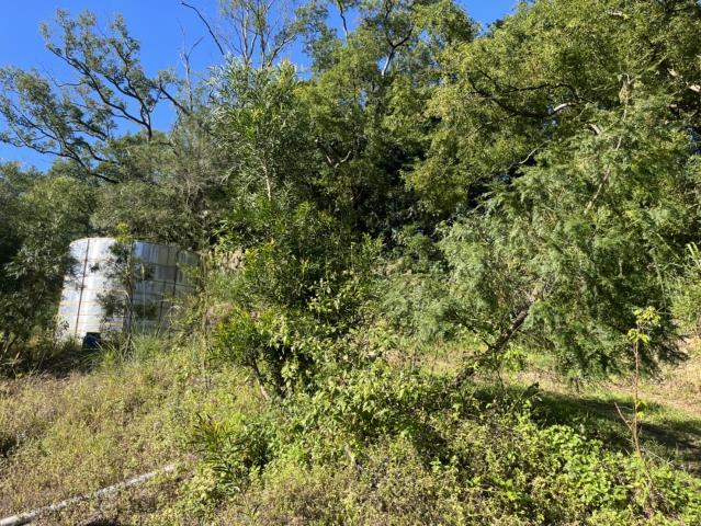 台中東勢山坡地-7