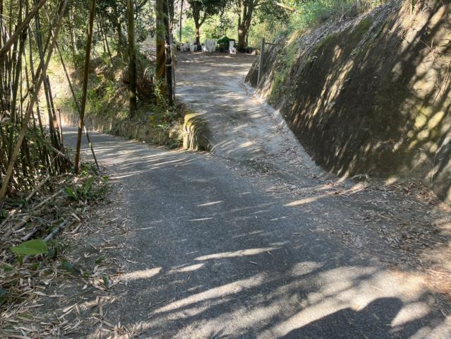 東勢山坡地-3