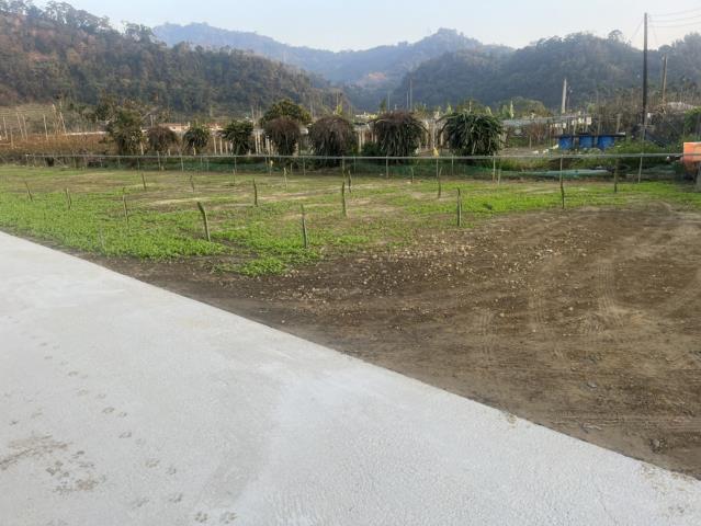 台中東勢農地-1