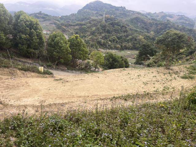 東勢山坡地-0