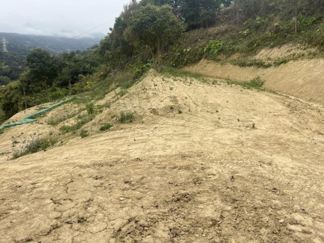 東勢山坡地-1