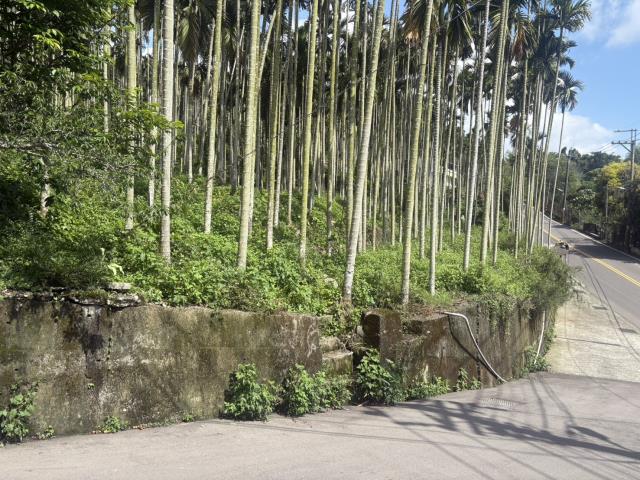 新社山坡地-0